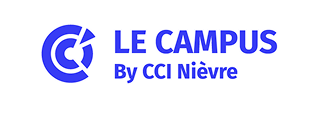 Logo CCI blanc 2